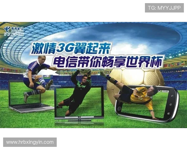 杭州排球队勇闯世界杯预选赛的辉煌之路与奋斗故事